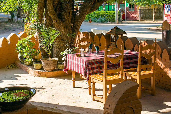 Outdoor seating under the tree